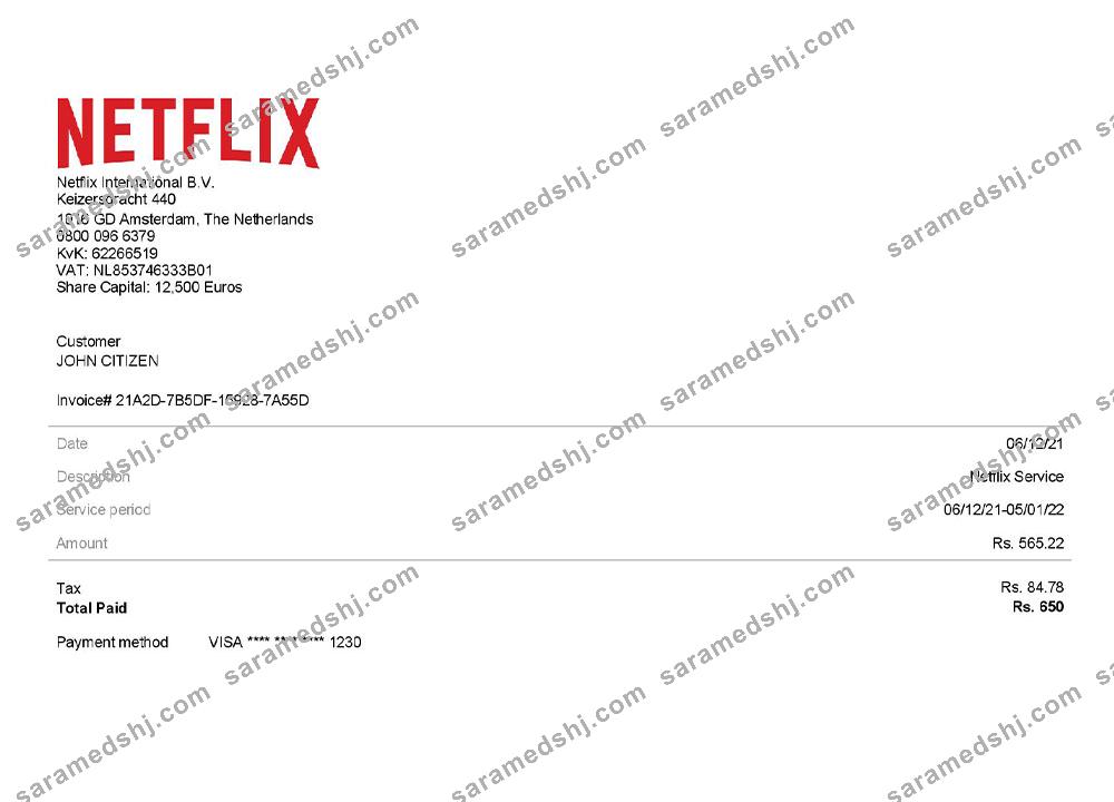 USA Netflix invoice template